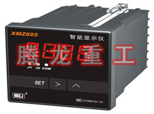 溫度表、數(shù)字顯示儀、濕度表