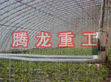 大棚花卉供暖設(shè)備、大棚卉采暖設(shè)備、大棚花卉取暖設(shè)備