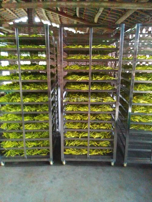 黃花菜烘干機(jī)、黃花菜烘干設(shè)備、黃花菜干燥機(jī)、黃花菜干燥設(shè)備、